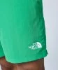 Resim The North Face M Water Short - Eu