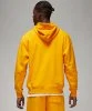 Resim Jordan M J Ess Flc Po Hoodie