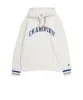 Resim Champion Hooded Sweatshirt