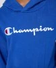 Resim Champion Hooded Sweatshirt