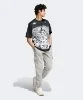 Resim adidas Sw Ss Tee Nz Ht