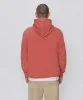 Resim Champion Hooded Sweatshirt