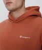 Resim Champion Hooded Sweatshirt