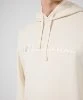 Resim Champion Hooded Sweatshirt