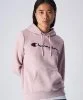 Resim Champion Hooded Sweatshirt