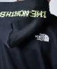 Resim The North Face U Nse Graphic Hoodie