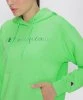 Resim Champion Hooded Sweatshirt